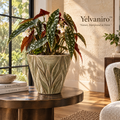 Yelvaniro™ Textured Botanical Accent Pot